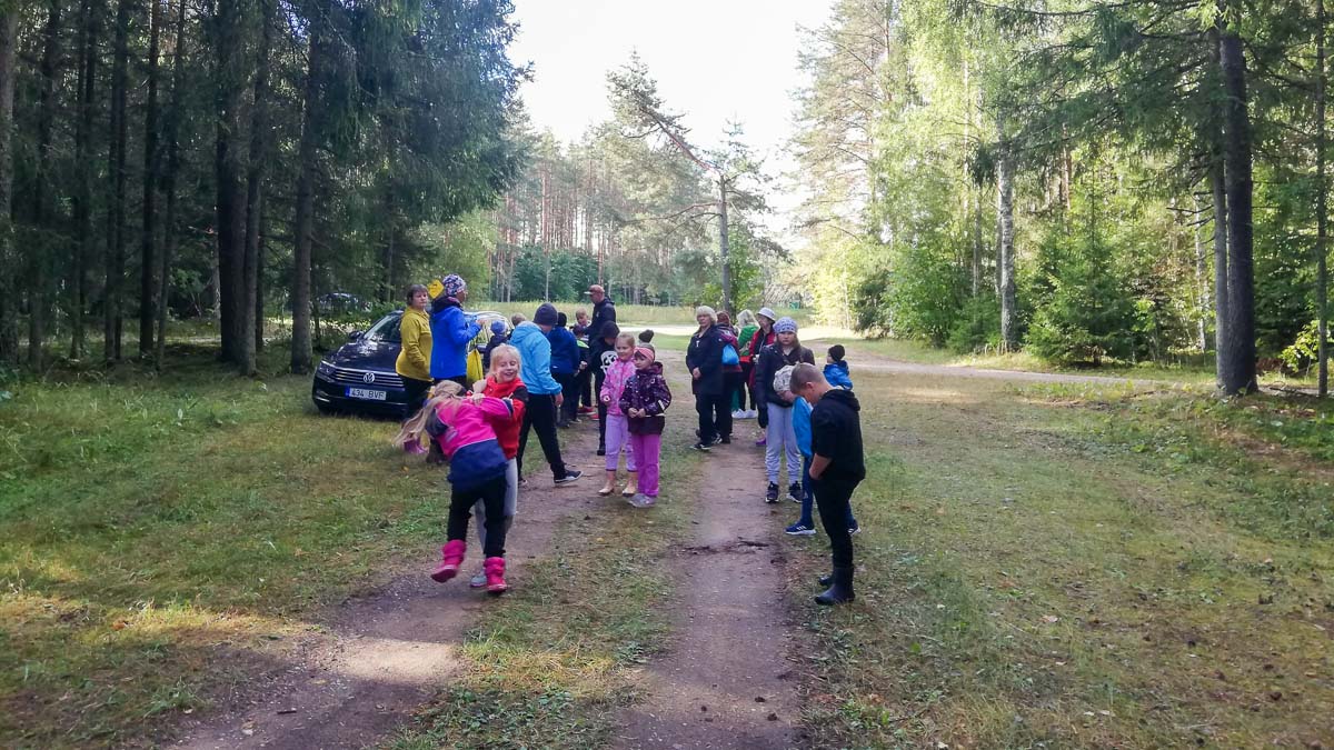 Traditsiooniline kooli algus orienteerumisega Palu metsas